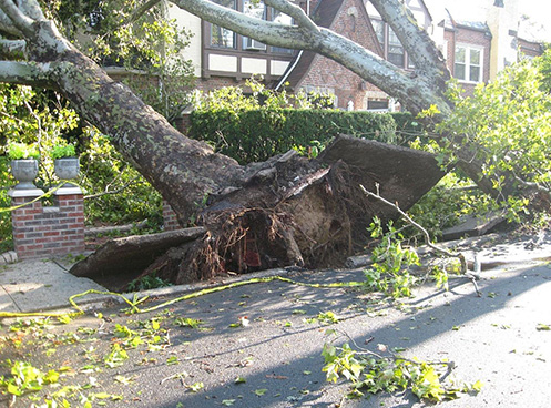 Property Damage Insurance Claims